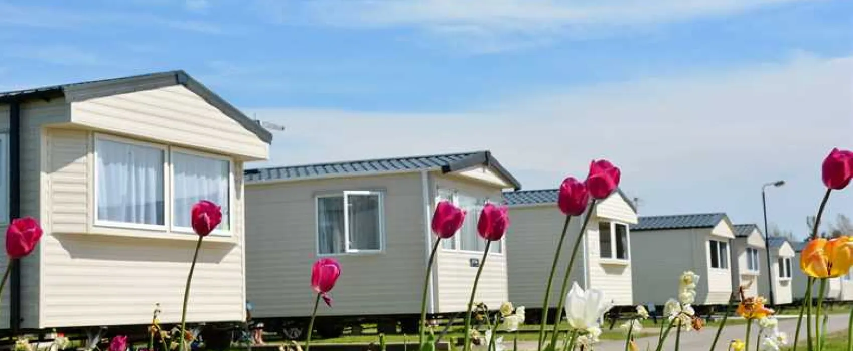 Causeway Coast Holiday Park