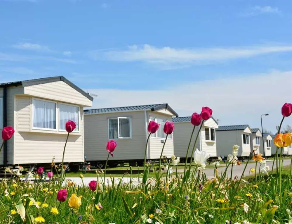 Causeway Coast Holiday Park