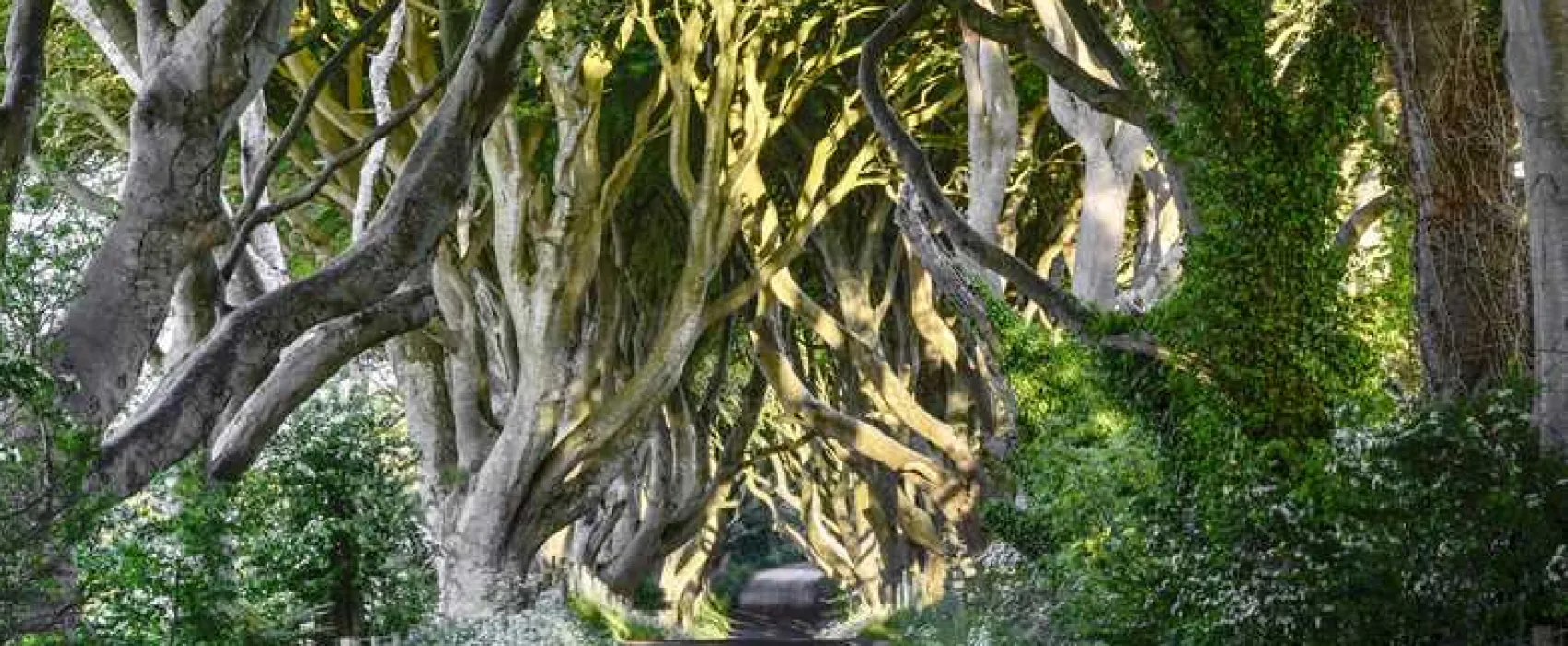 Causeway Coast Holiday Park