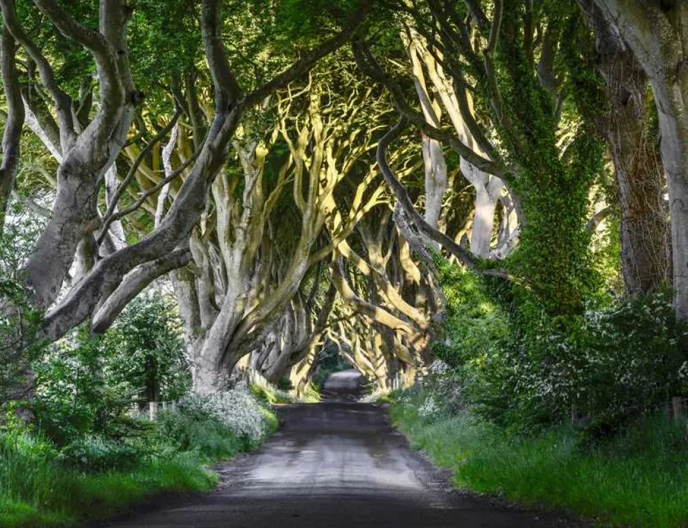 Causeway Coast Holiday Park