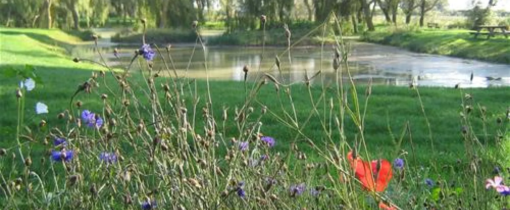 Camping La Ferme de Mayocq  