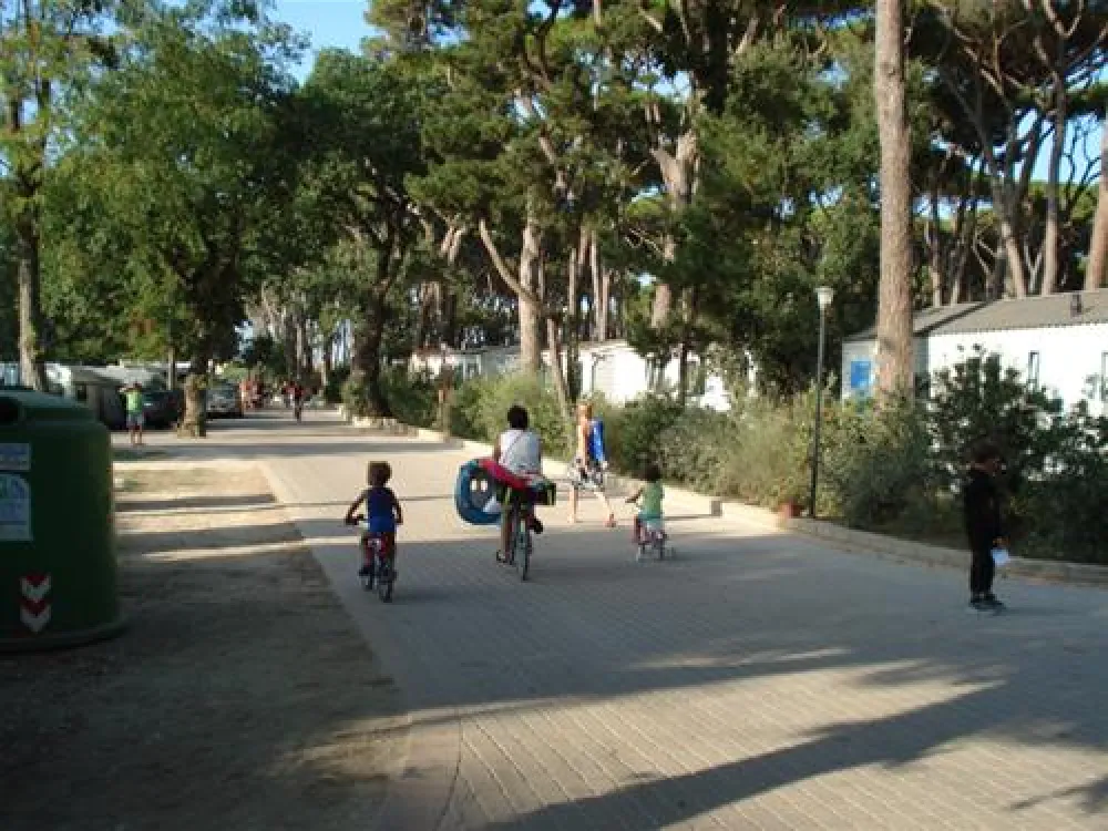 Camping Village - Park Albatros