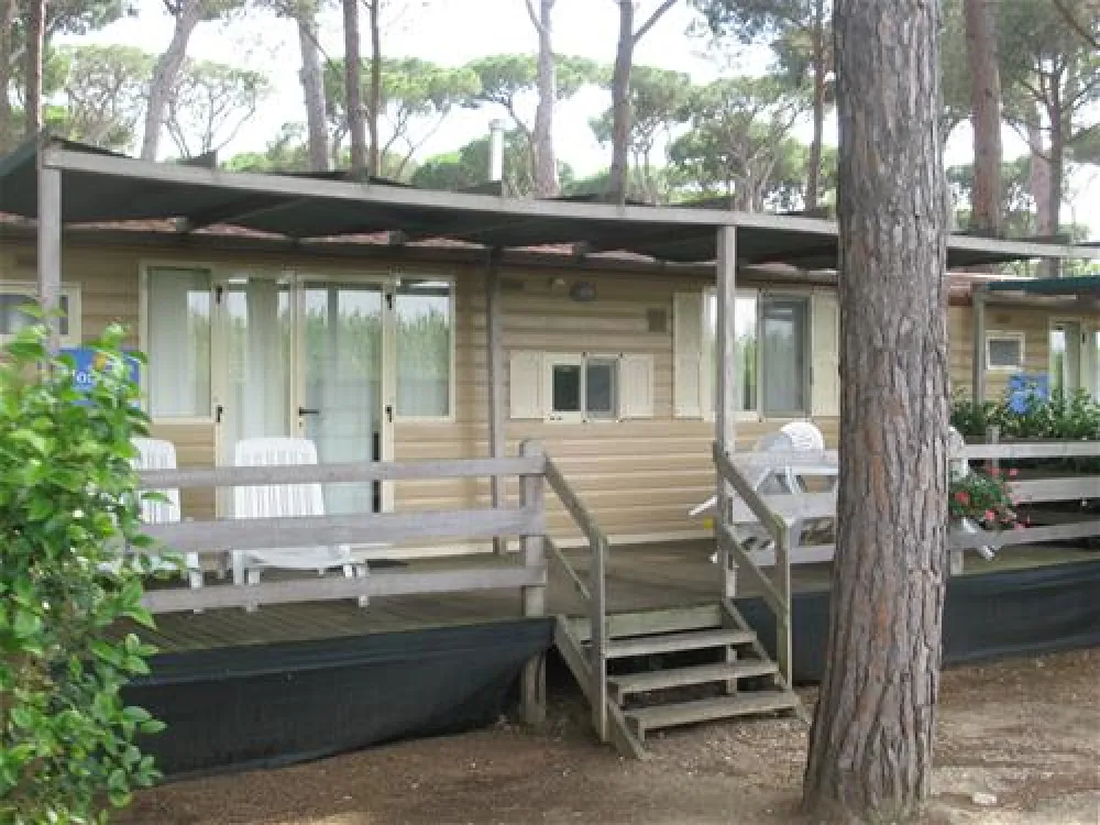 Camping Village - Park Albatros