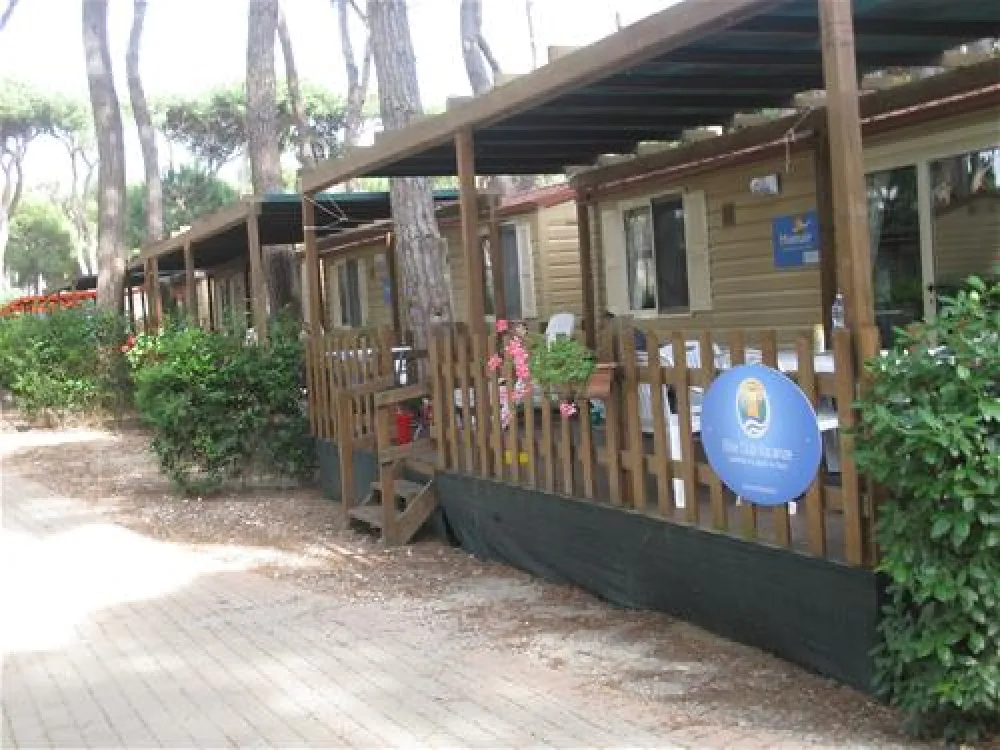 Camping Village - Park Albatros