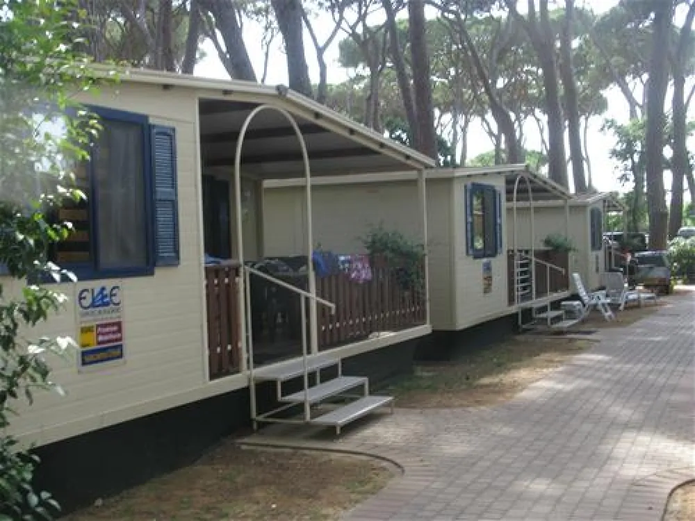 Camping Village - Park Albatros