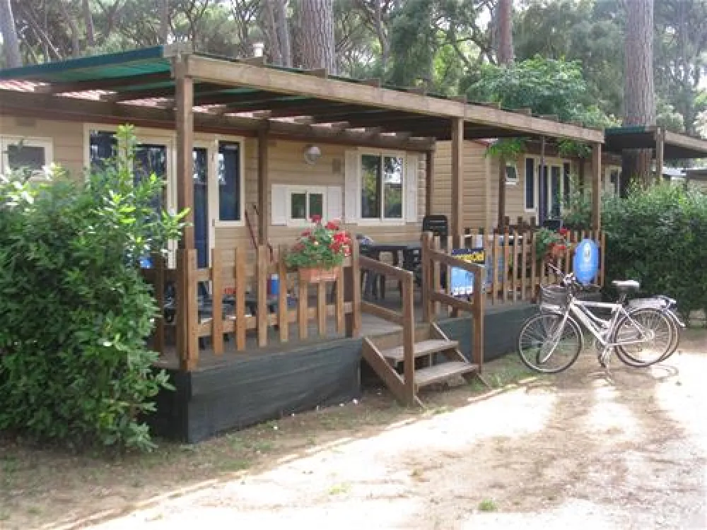 Camping Village - Park Albatros