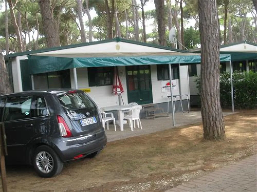 Camping Village - Park Albatros