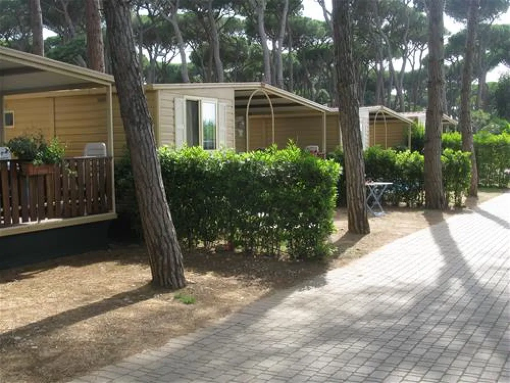 Camping Village - Park Albatros