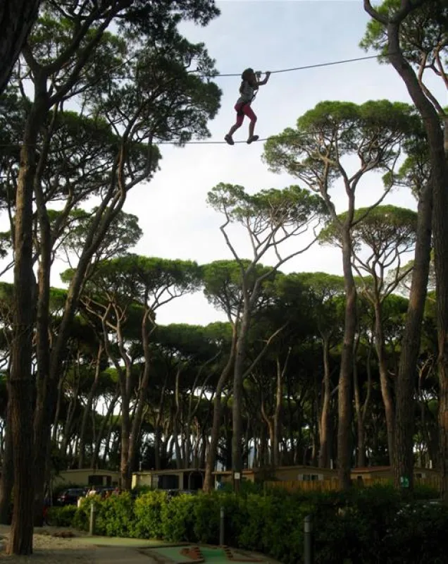 Camping Village - Park Albatros