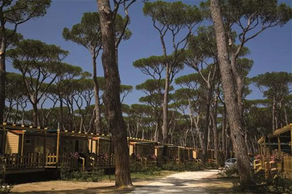 Camping Village - Park Albatros