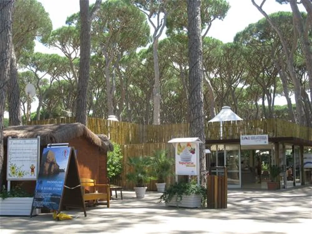Camping Village - Park Albatros