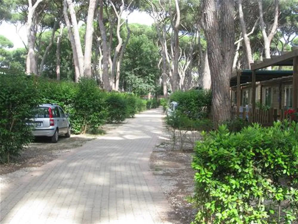 Camping Village - Park Albatros