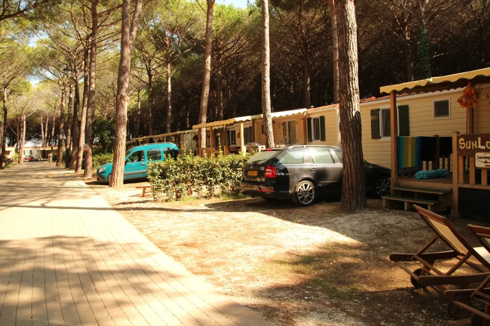 Camping Village - Park Albatros