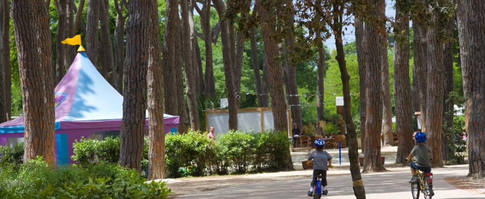 Camping Village - Park Albatros