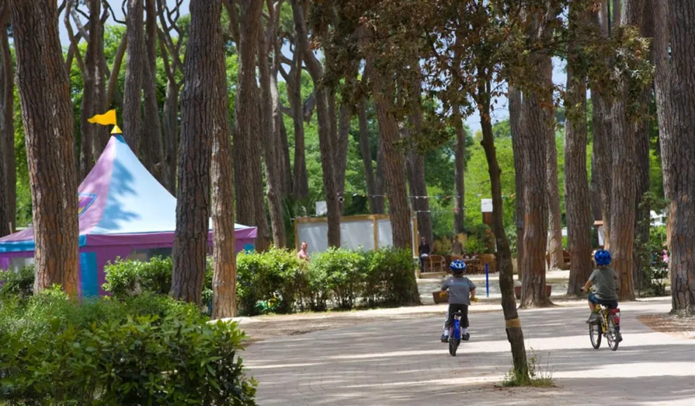 Camping Village - Park Albatros