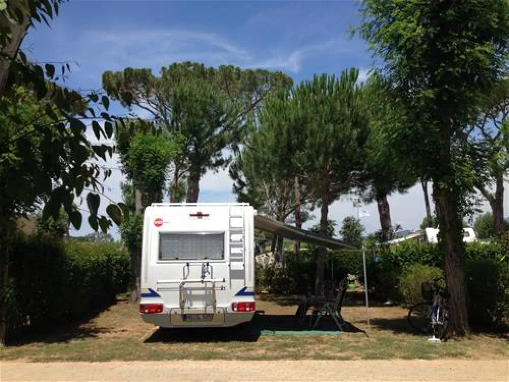 Camping Village - Park Albatros