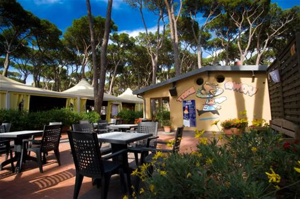 Camping Village - Park Albatros