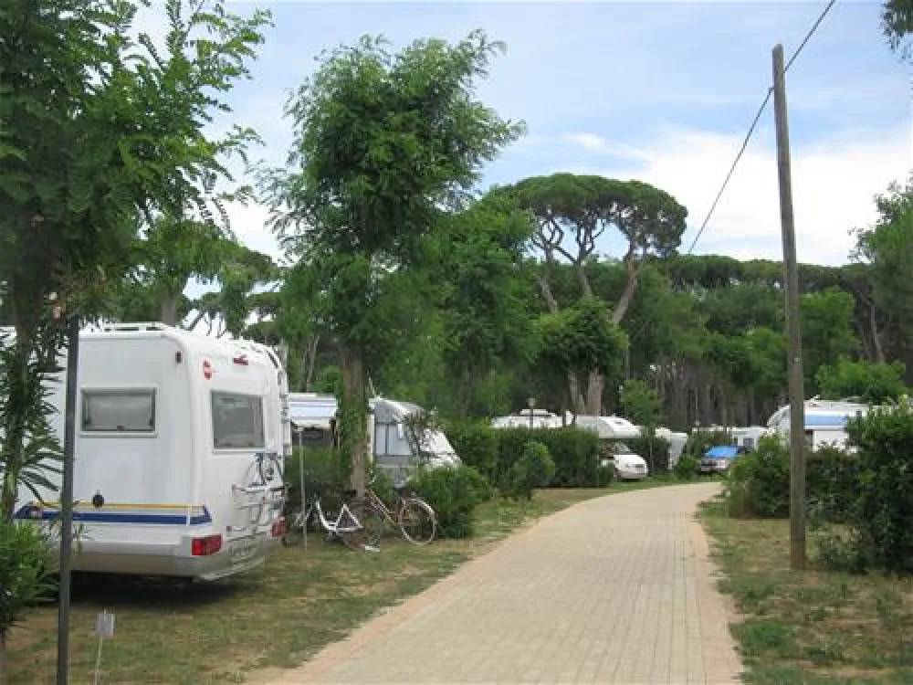 Camping Village - Park Albatros