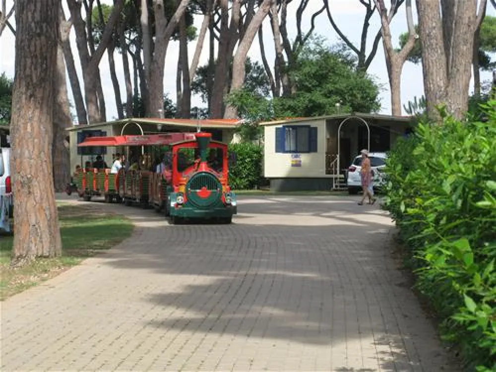 Camping Village - Park Albatros