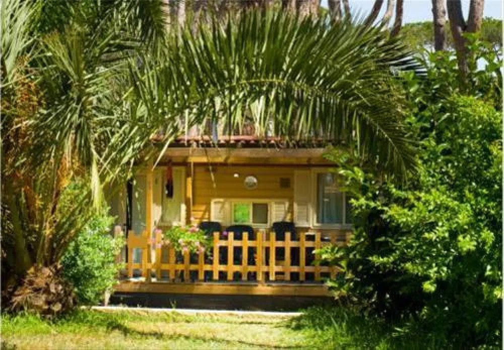 Camping Village - Park Albatros