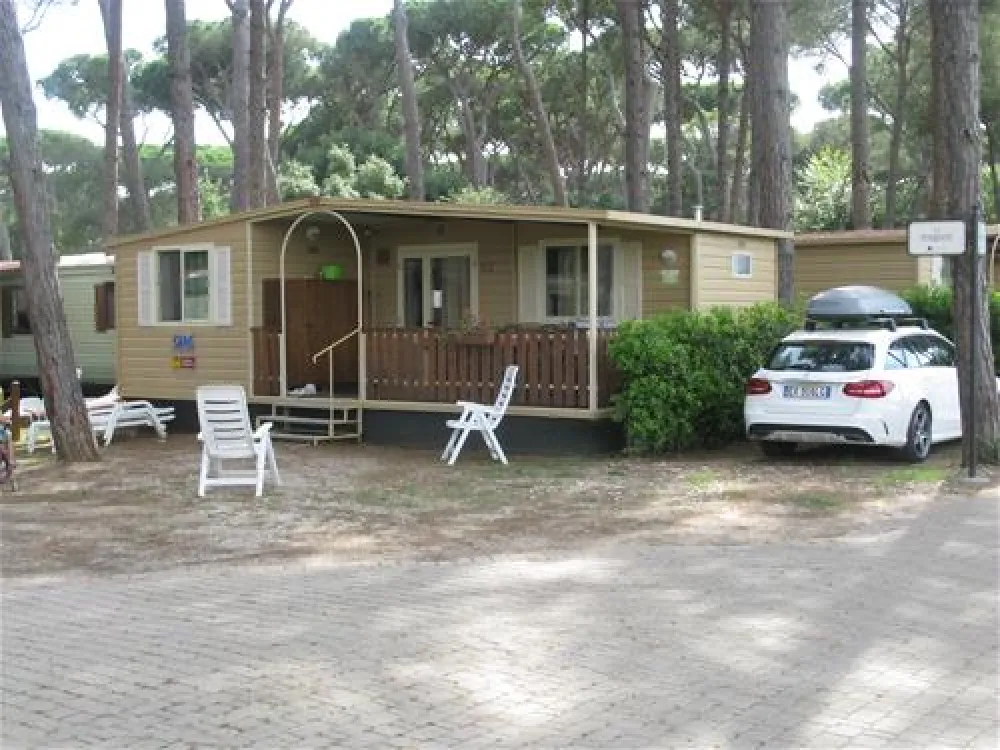 Camping Village - Park Albatros