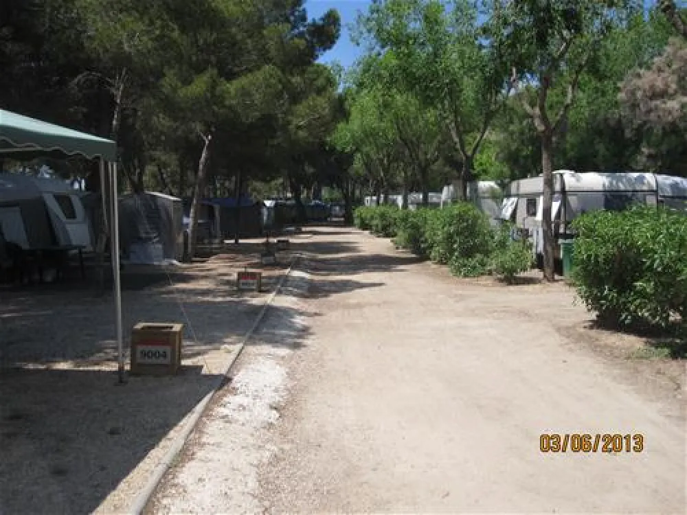 Camping Tamarit Park