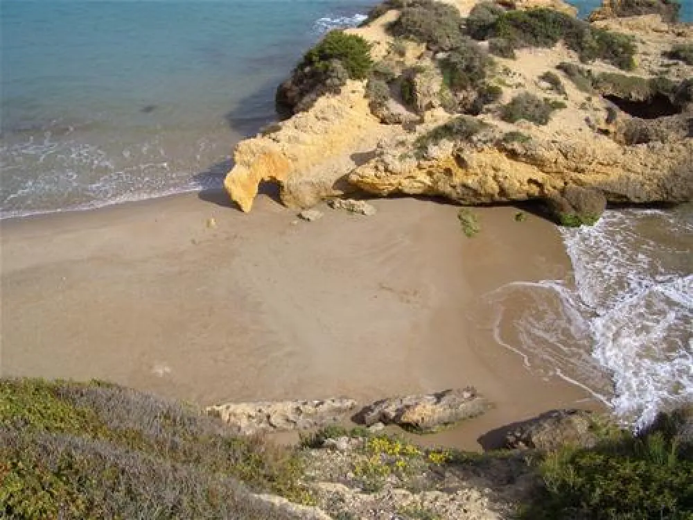 Camping Tamarit Park