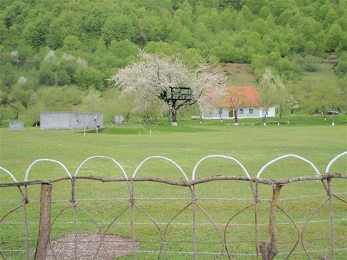 Camping am Hostel - Photo 2