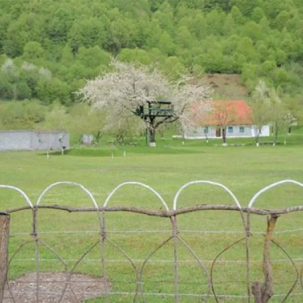 Camping am Hostel