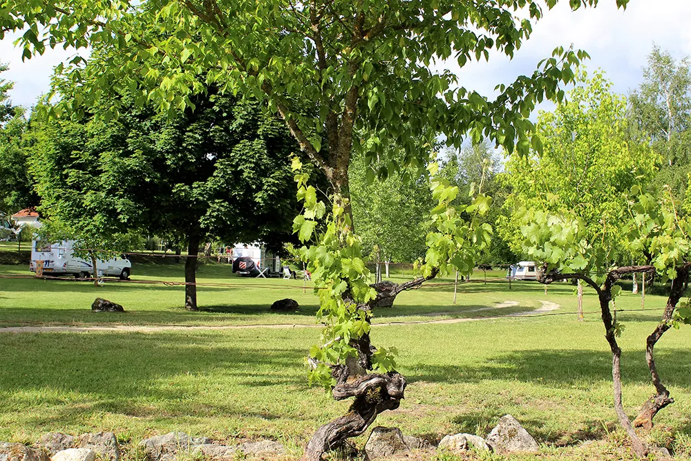 Camping Quinta Chave Grande