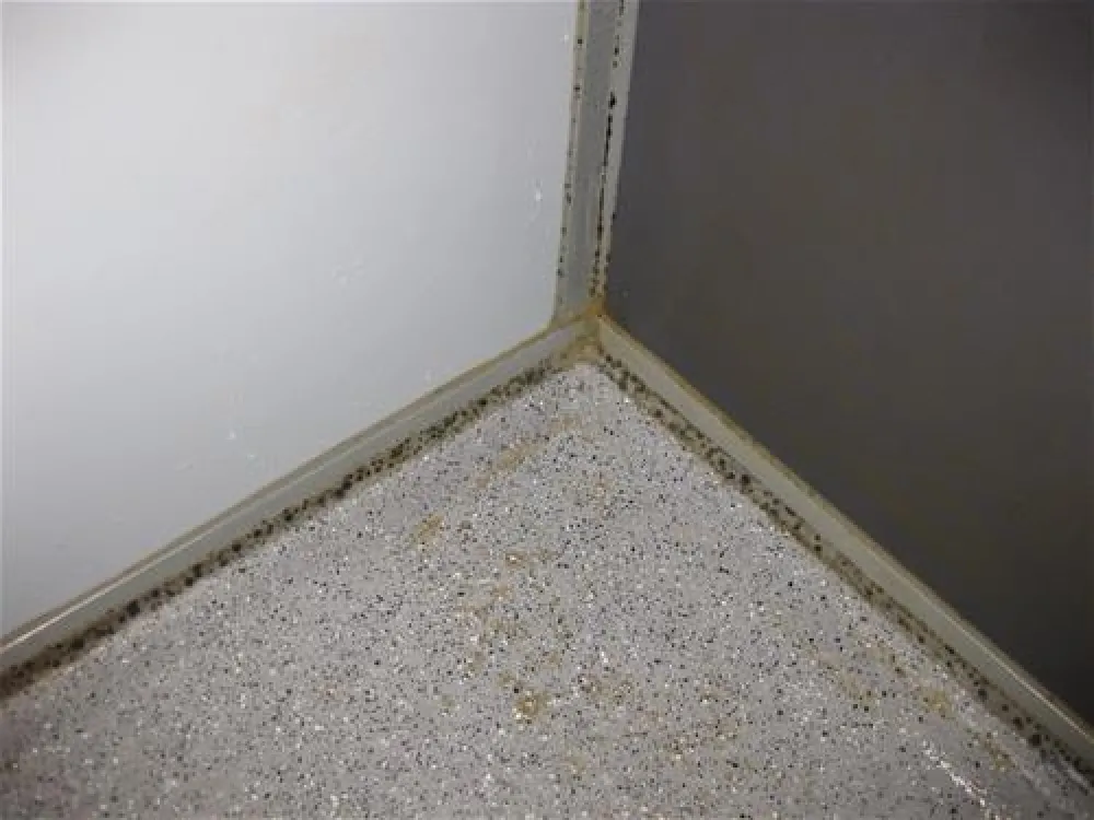 KNAUS Campingpark Rhein-Mosel/Koblenz