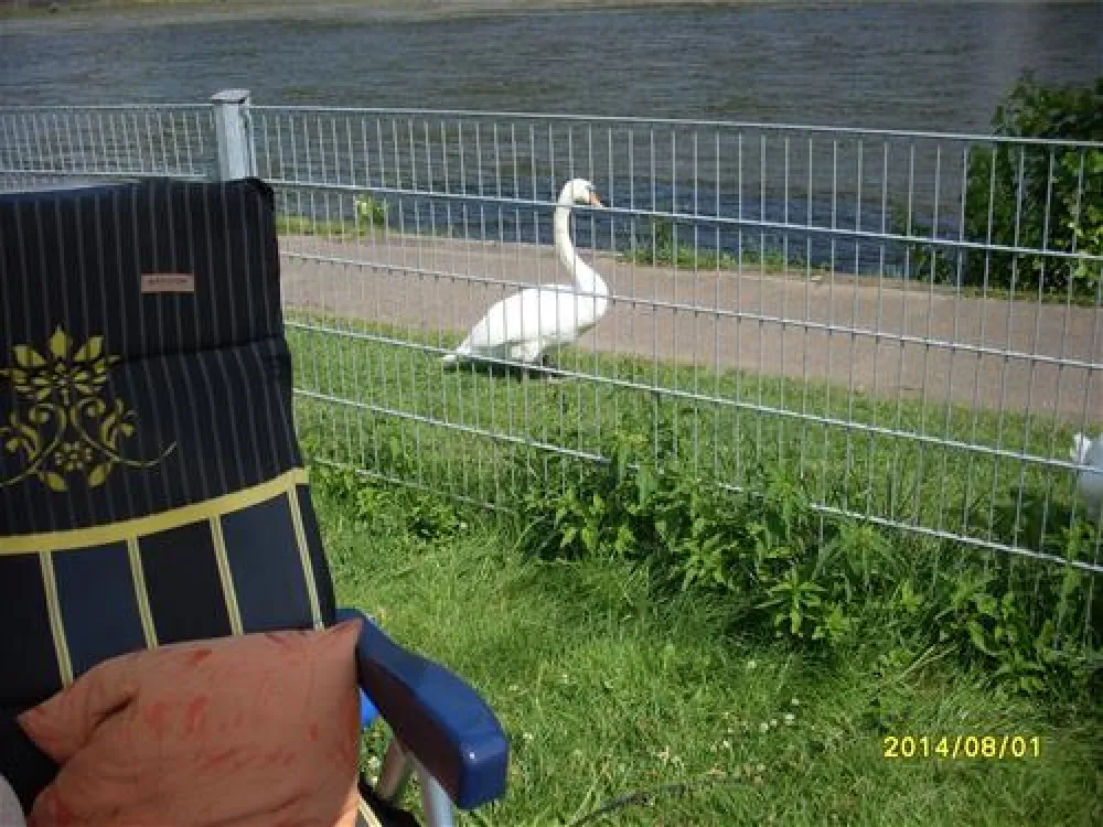 KNAUS Campingpark Rhein-Mosel/Koblenz