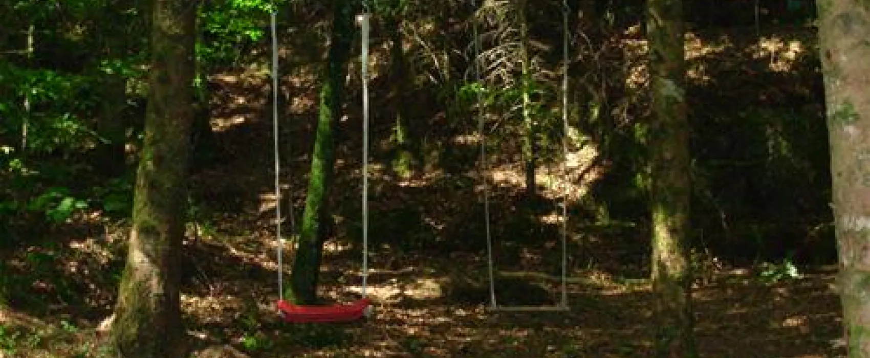 BauernhofCamping Wyler