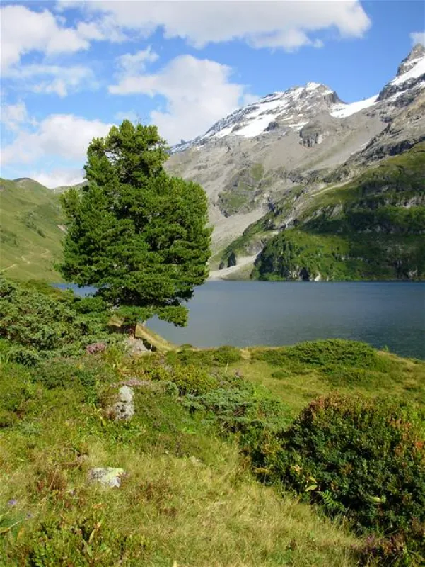 BauernhofCamping Wyler