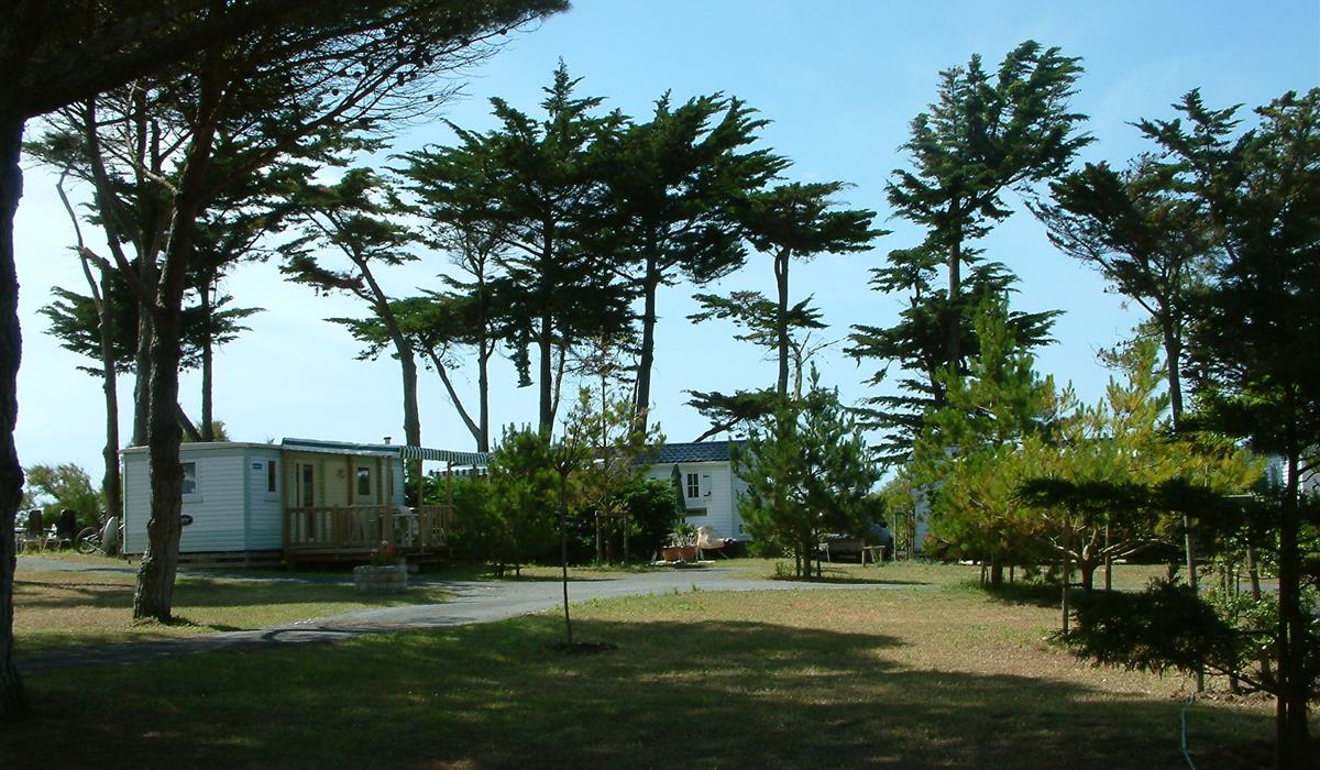 Camping Municipal photo 2