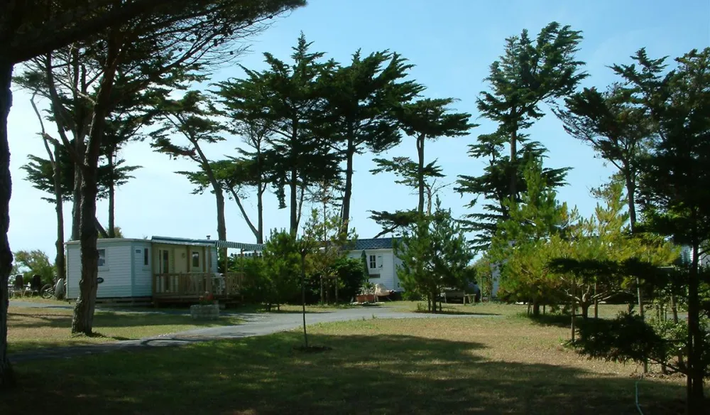 Camping Municipal
