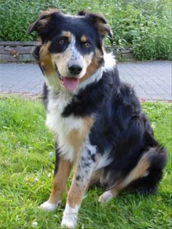 Campingpark im Bergischen Land