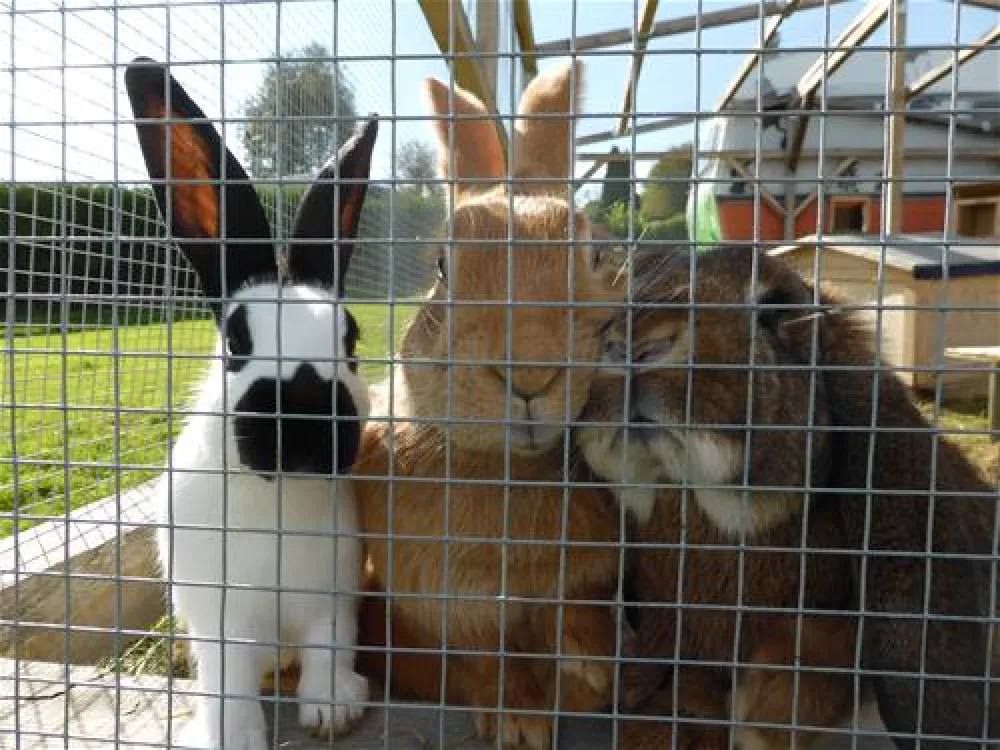 Campingpark im Bergischen Land