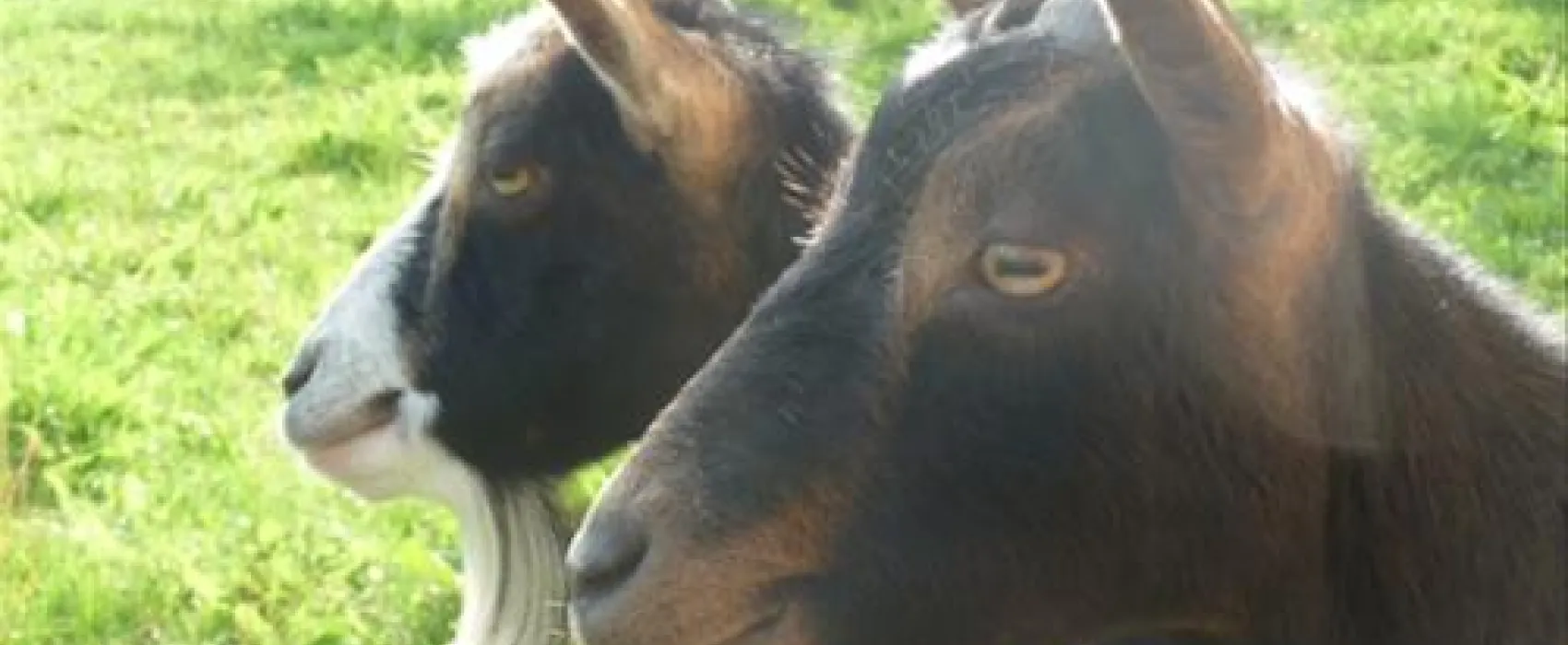 Campingpark im Bergischen Land