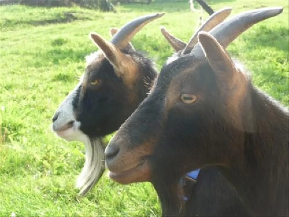 Campingpark im Bergischen Land