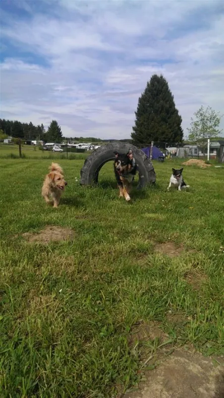 Campingpark im Bergischen Land