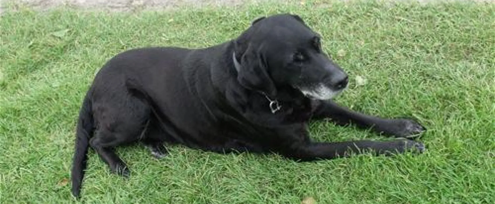 Camping Uit den Haak