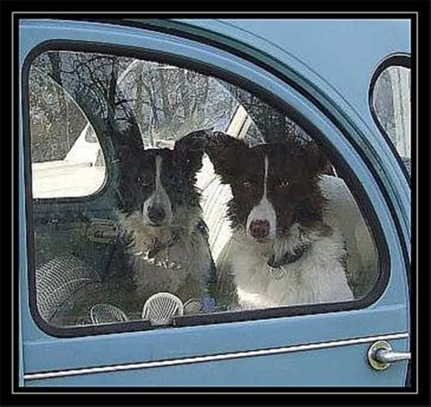 Mini-camping Les Fayes