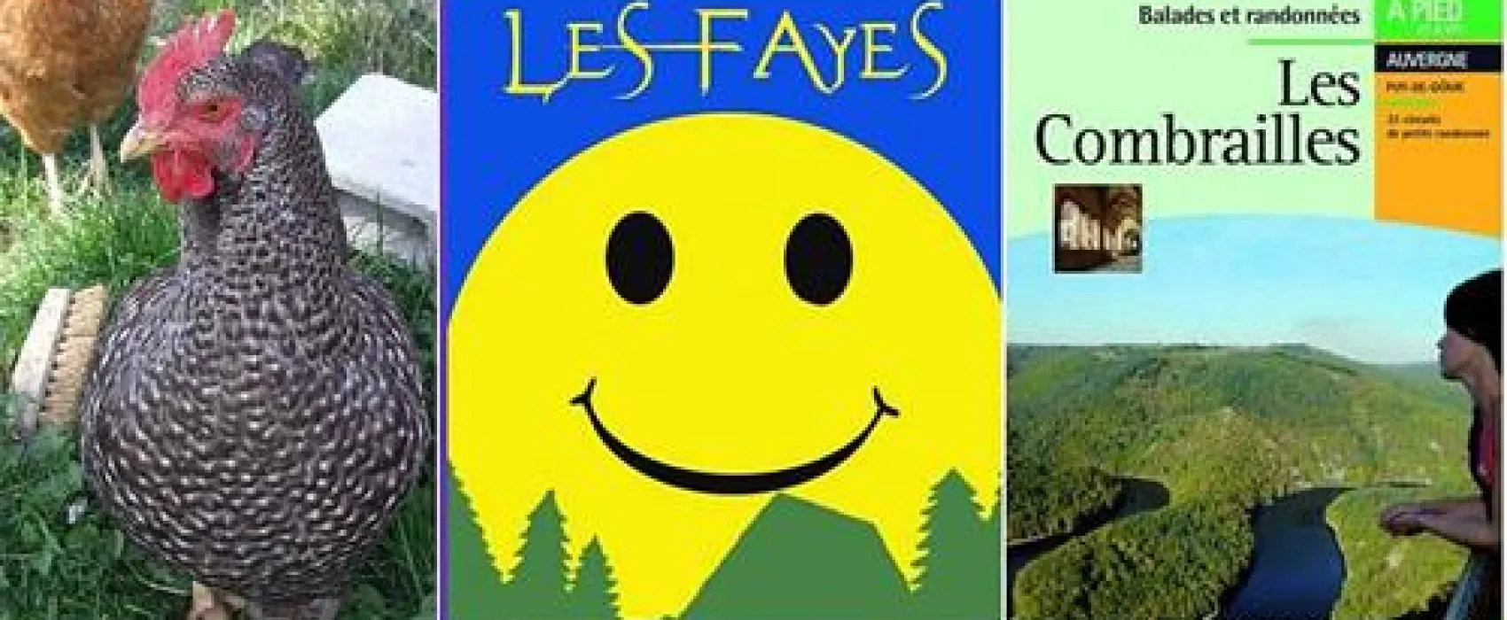 Mini-camping Les Fayes