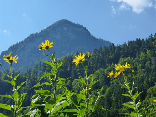 Camping Rueppenhof photo 3