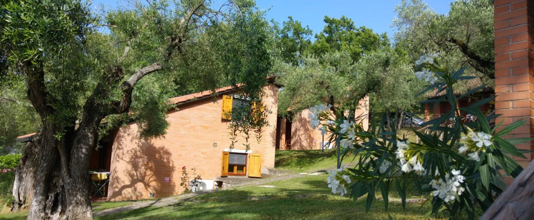 Campeggio Cerquestra