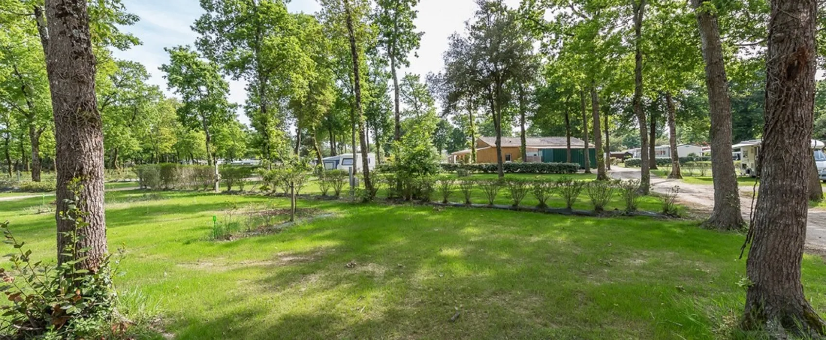 Flower camping - La Cailletiere