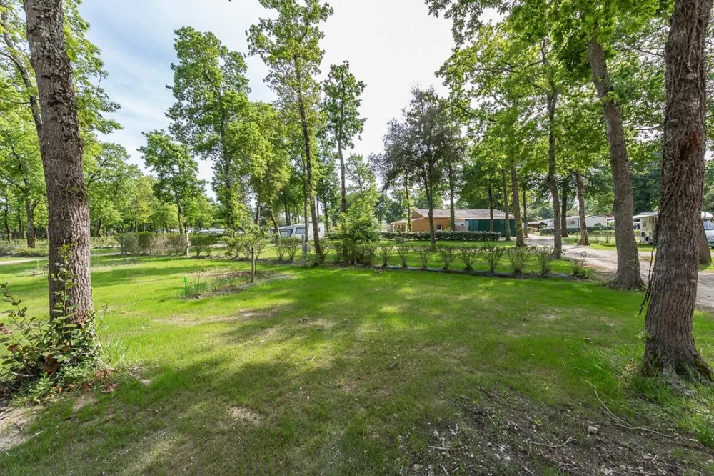 Flower camping - La Cailletiere