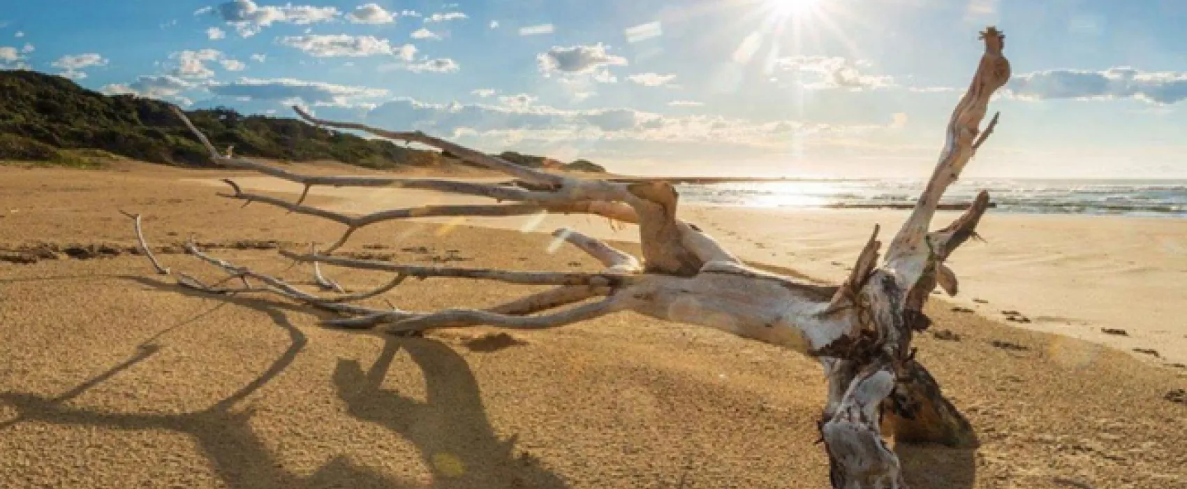 Milkwood Bend Farm Resort