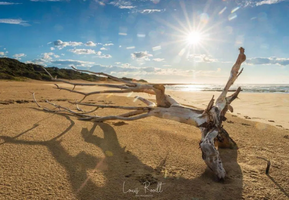 Milkwood Bend Farm Resort